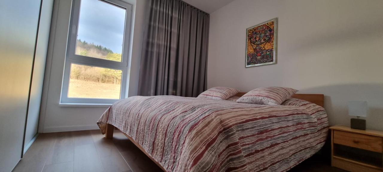 Bardejovské Kúpele Penthouse Apartman Mineral B-4 מראה חיצוני תמונה